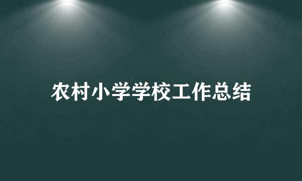 农村小学学校工作总结