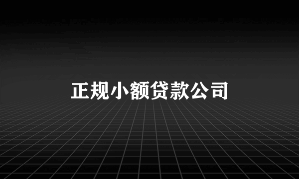 正规小额贷款公司