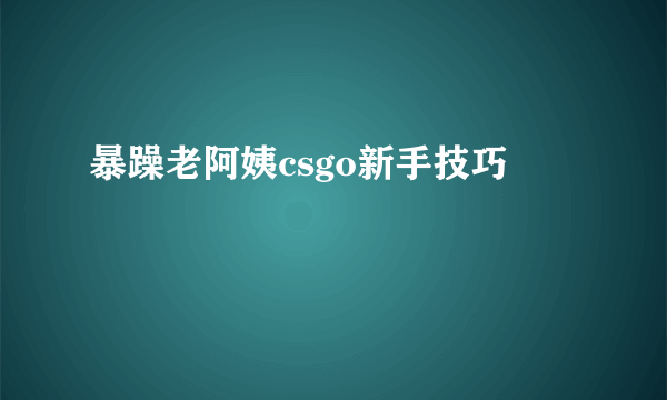 暴躁老阿姨csgo新手技巧