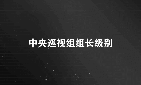 中央巡视组组长级别