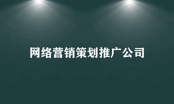 网络营销策划推广公司