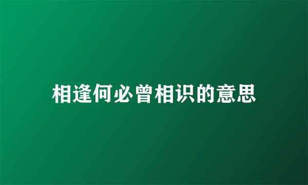 相逢何必曾相识的意思