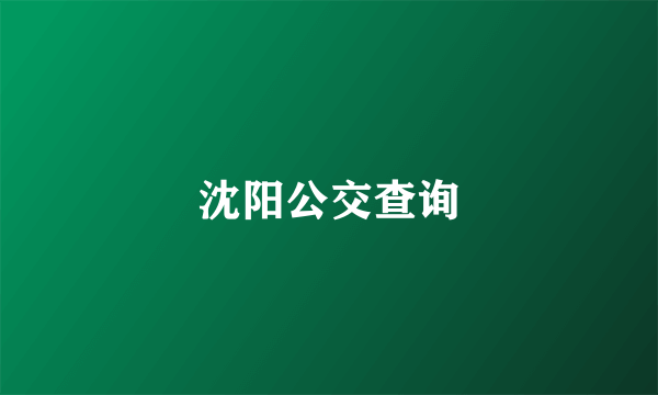 沈阳公交查询