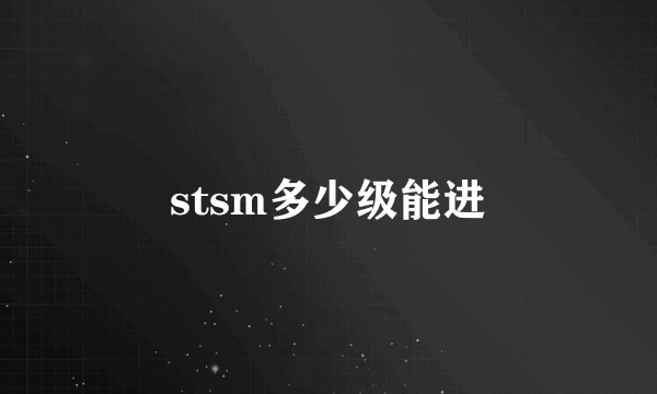 stsm多少级能进