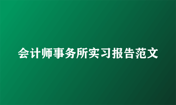 会计师事务所实习报告范文