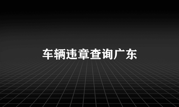 车辆违章查询广东