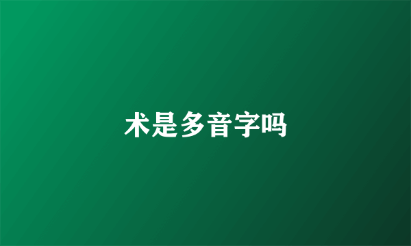 术是多音字吗