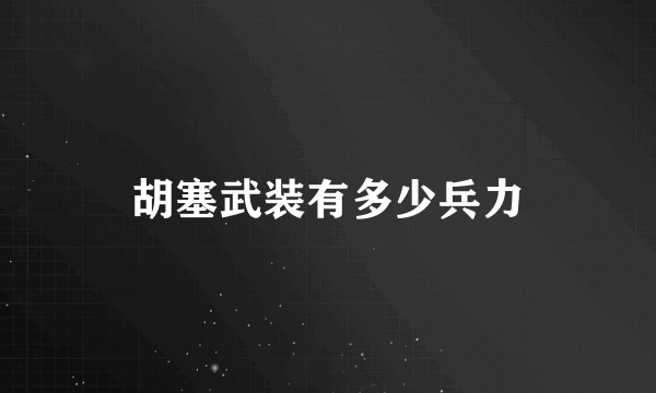 胡塞武装有多少兵力