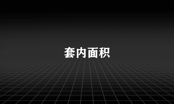 套内面积