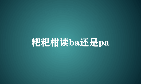 粑粑柑读ba还是pa