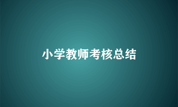 小学教师考核总结