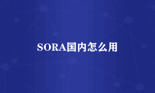 SORA国内怎么用