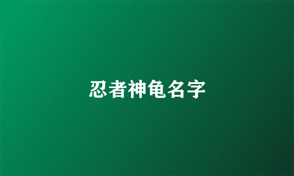 忍者神龟名字