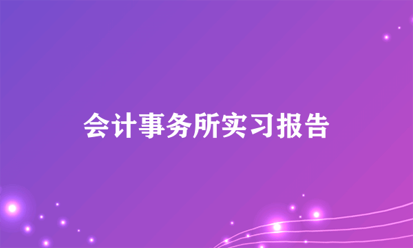 会计事务所实习报告