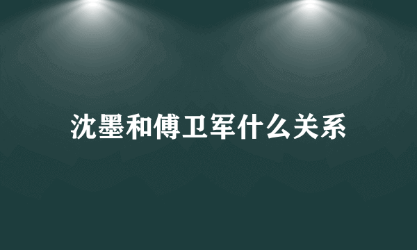 沈墨和傅卫军什么关系