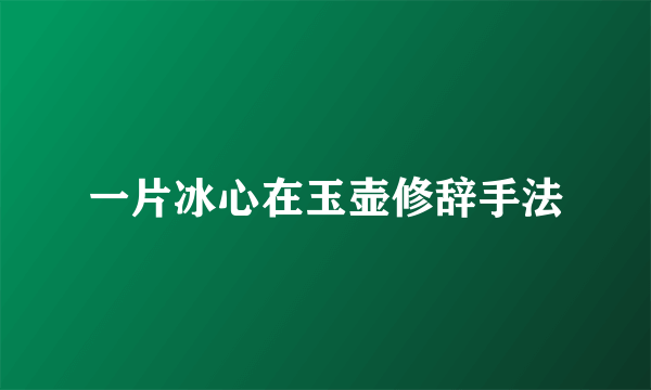 一片冰心在玉壶修辞手法