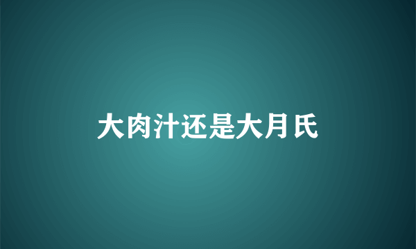 大肉汁还是大月氏