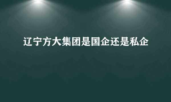 辽宁方大集团是国企还是私企