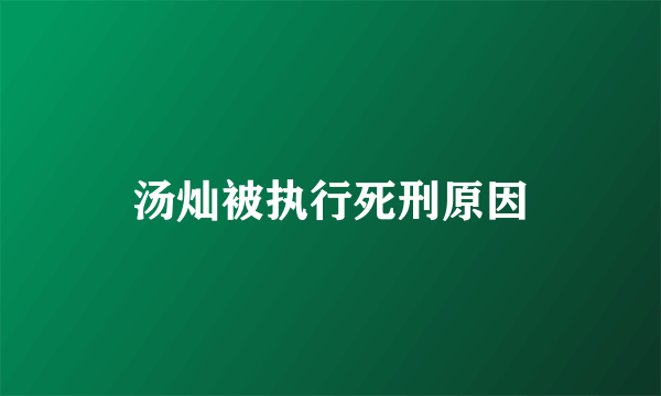 汤灿被执行死刑原因