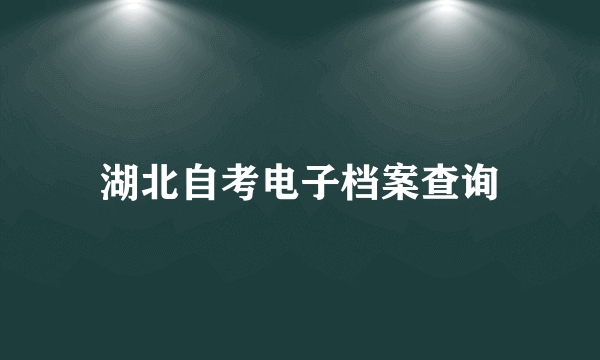 湖北自考电子档案查询