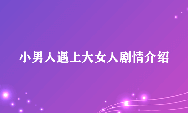 小男人遇上大女人剧情介绍