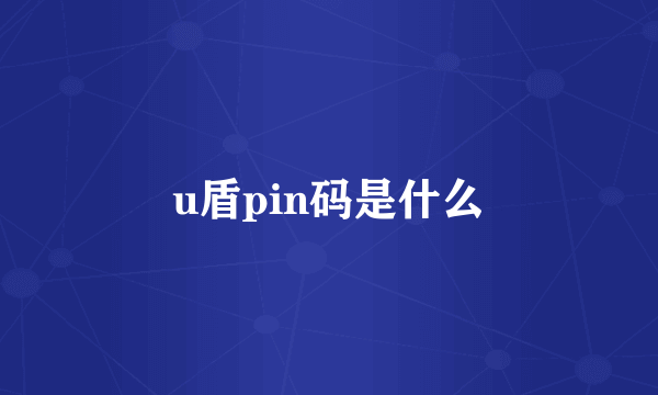 u盾pin码是什么