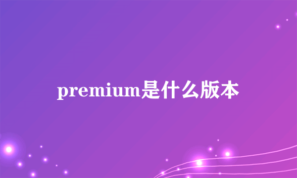 premium是什么版本