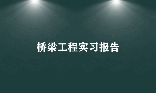 桥梁工程实习报告