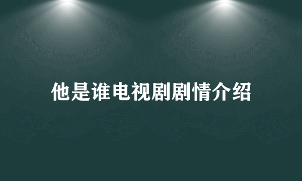 他是谁电视剧剧情介绍