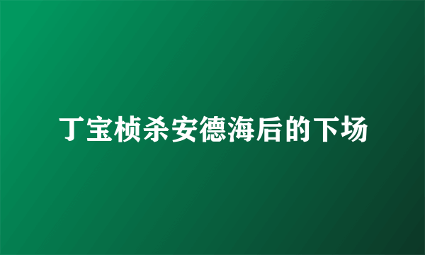 丁宝桢杀安德海后的下场