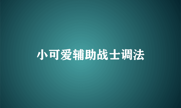 小可爱辅助战士调法