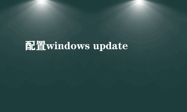 配置windows update