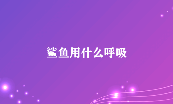 鲨鱼用什么呼吸