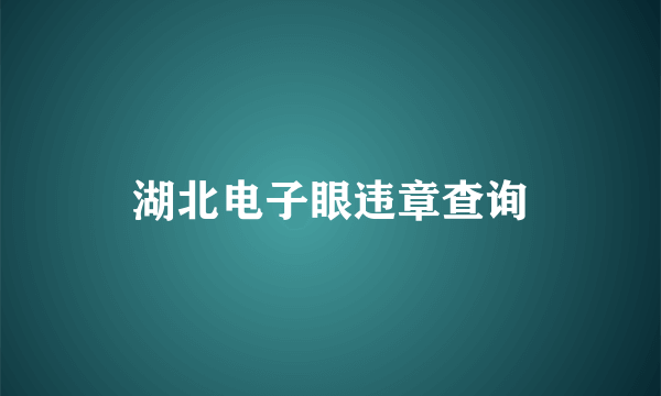 湖北电子眼违章查询