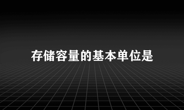 存储容量的基本单位是