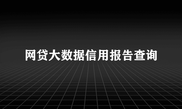 网贷大数据信用报告查询