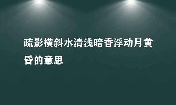 疏影横斜水清浅暗香浮动月黄昏的意思