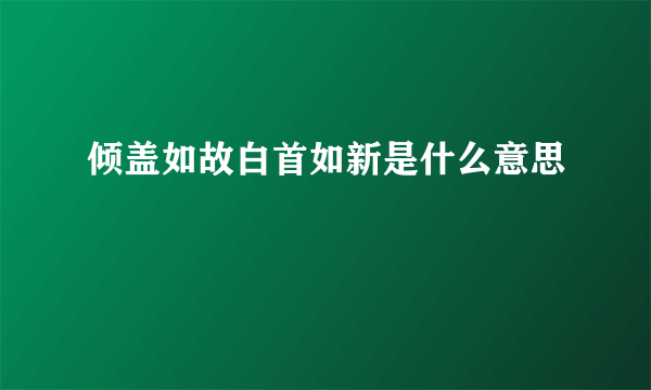 倾盖如故白首如新是什么意思