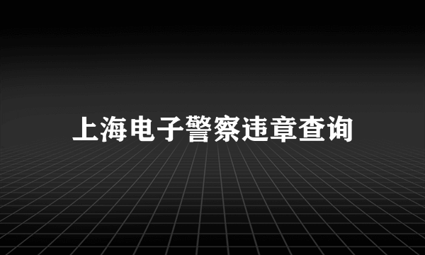 上海电子警察违章查询