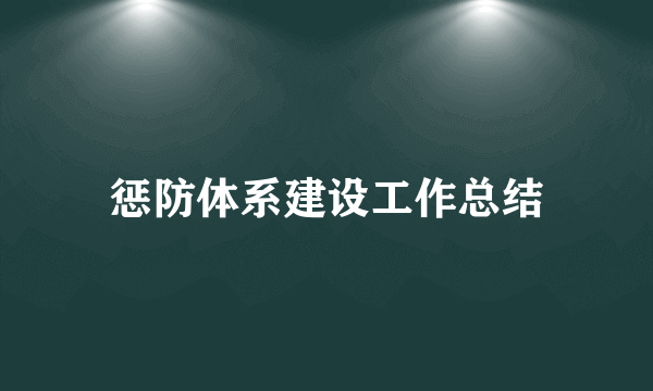 惩防体系建设工作总结