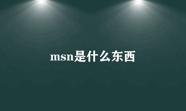 msn是什么东西