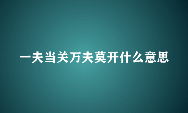 一夫当关万夫莫开什么意思