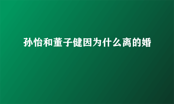 孙怡和董子健因为什么离的婚