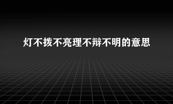 灯不拨不亮理不辩不明的意思