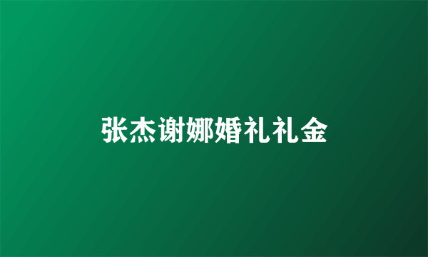 张杰谢娜婚礼礼金