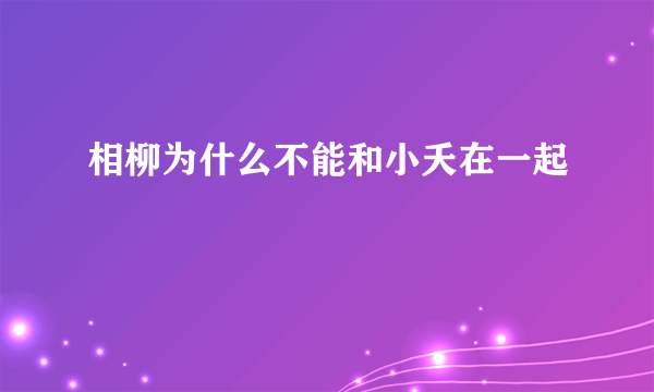 相柳为什么不能和小夭在一起