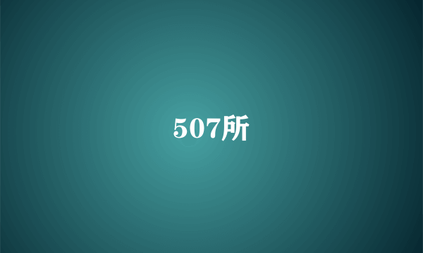 507所