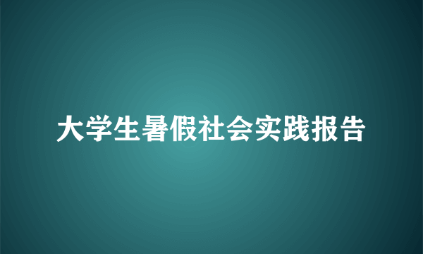 大学生暑假社会实践报告