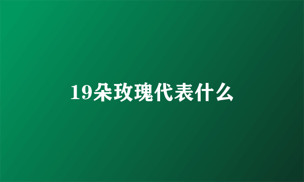 19朵玫瑰代表什么