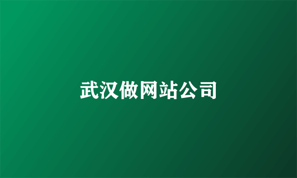 武汉做网站公司